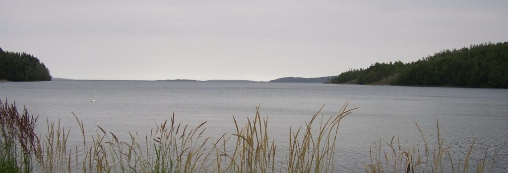 Finns Begravningsbyrå