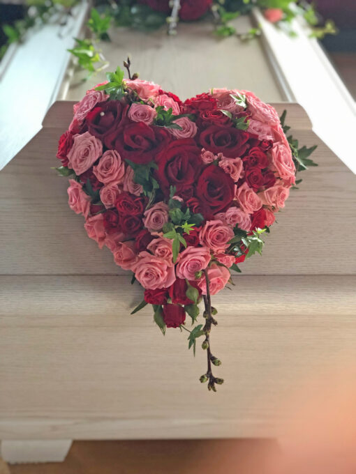 Röda och rosa rosor