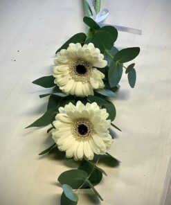 Två gerbera med grönt