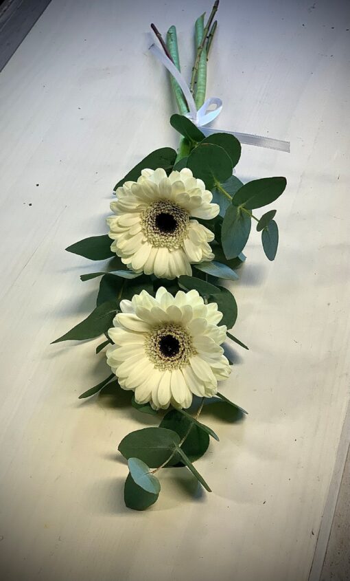 Två gerbera med grönt